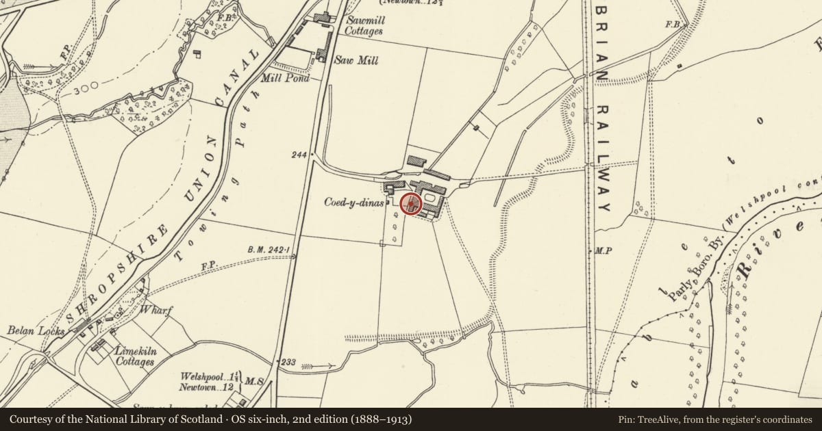 Ordnance Survey six-inch map, 2nd edition (1888–1913) covering the location of Stone building at Coed-y-dinas, Welshpool, Powys, with a pin at the register's coordinates