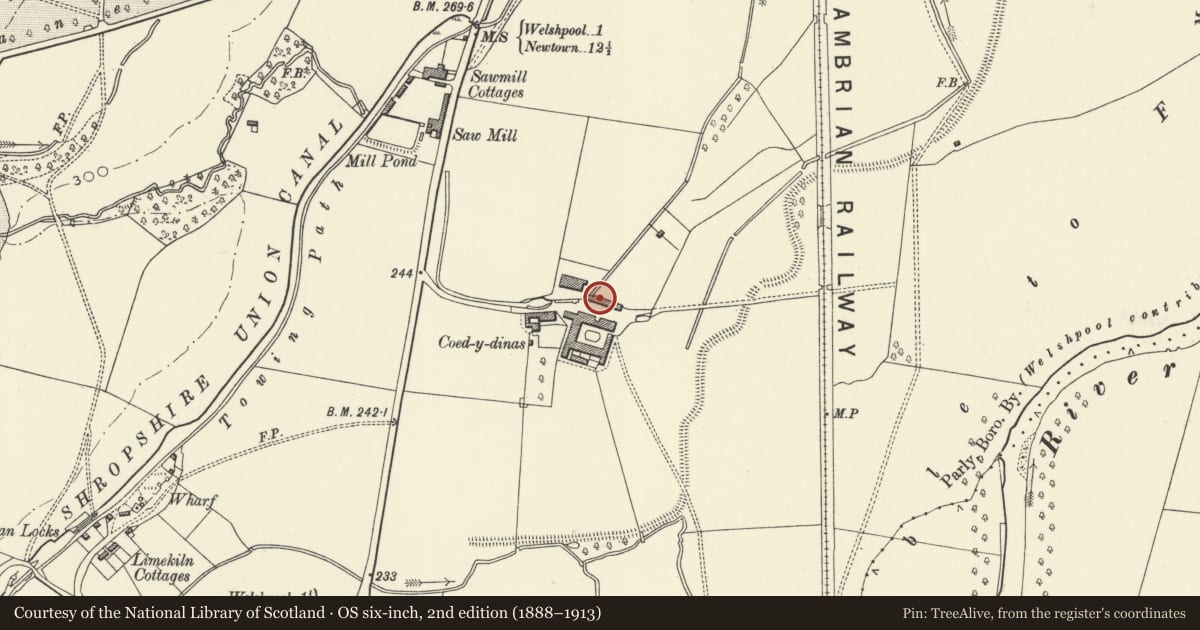 Ordnance Survey six-inch map, 2nd edition (1888–1913) covering the location of Western cartshed at Coed-y-dinas, Welshpool, Powys, with a pin at the register's coordinates