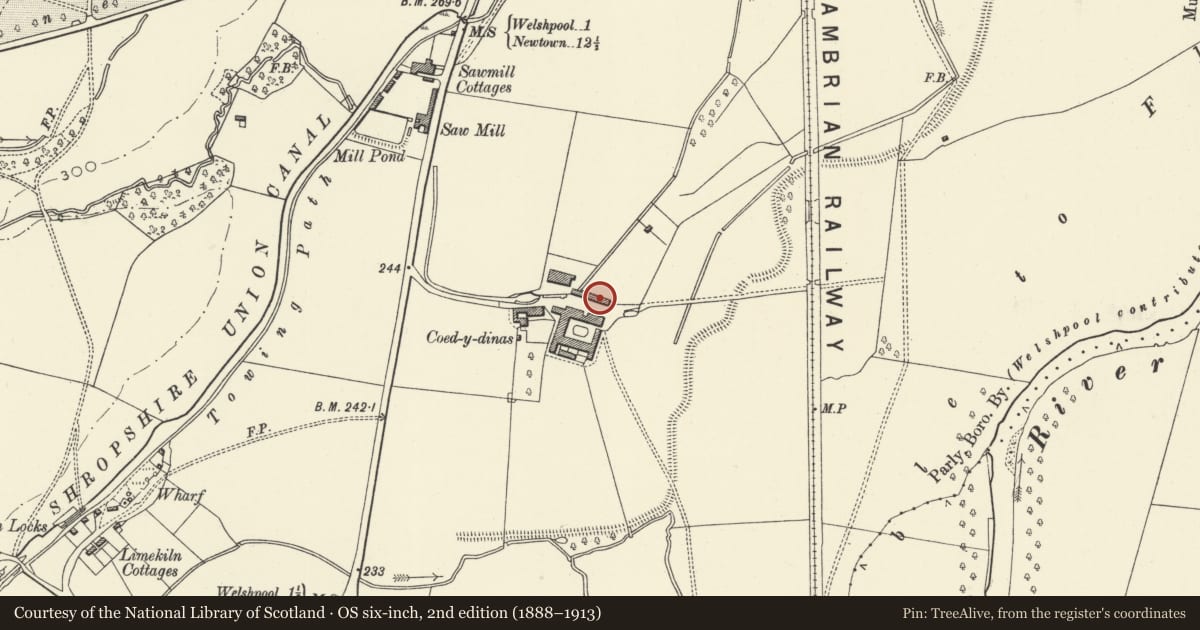 Ordnance Survey six-inch map, 2nd edition (1888–1913) covering the location of Slaughter-house, dove-cot and smithy at Coed-y-dinas, Welshpool, Powys, with a pin at the register's coordinates