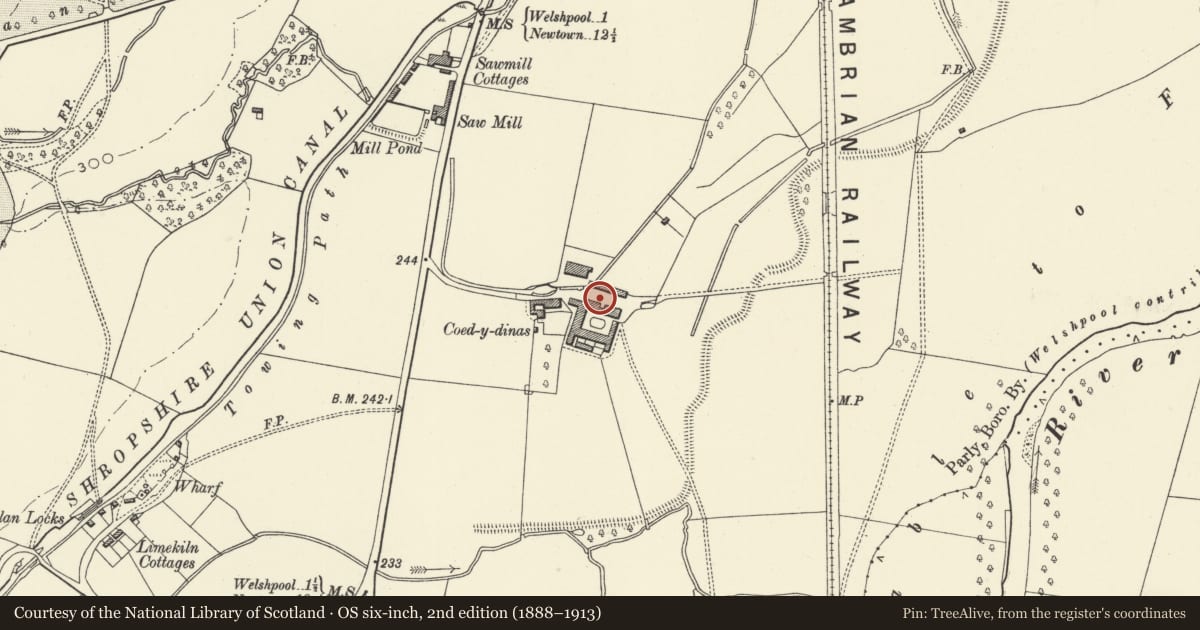Ordnance Survey six-inch map, 2nd edition (1888–1913) covering the location of Eastern Cartshed at Coed-y-dinas, Welshpool, Powys, with a pin at the register's coordinates