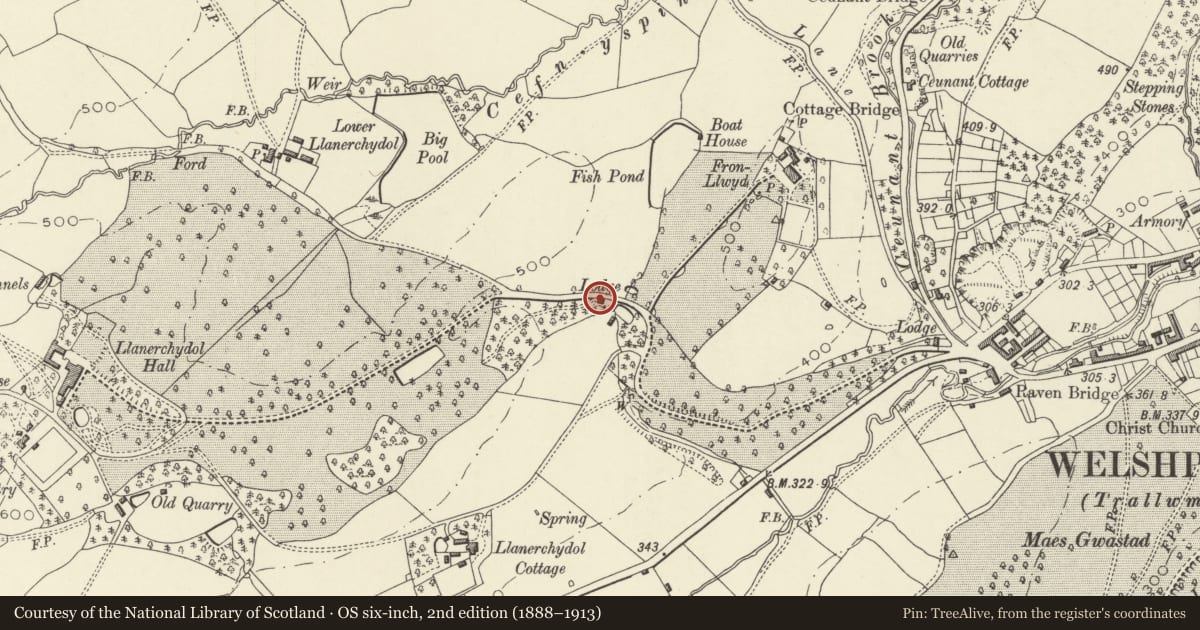 Ordnance Survey six-inch map, 2nd edition (1888–1913) covering the location of Second Lodge to Llanerchydol Hall, Welshpool, Powys, with a pin at the register's coordinates