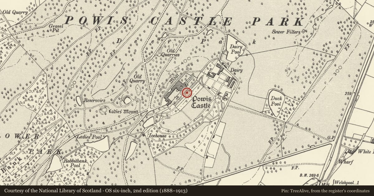 Ordnance Survey six-inch map, 2nd edition (1888–1913) covering the location of Orangery Terrace in Gardens at Powis Castle, Welshpool, Powys, with a pin at the register's coordinates