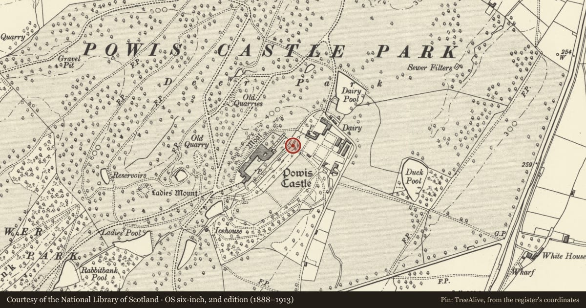 Ordnance Survey six-inch map, 2nd edition (1888–1913) covering the location of Raised Terrace to SE of Castle with steps into garden, Welshpool, Powys, with a pin at the register's coordinates