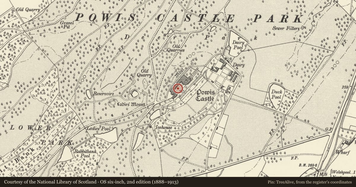 Ordnance Survey six-inch map, 2nd edition (1888–1913) covering the location of Statue of Fame in entrance courtyard at Powis Castle, Welshpool, Powys, with a pin at the register's coordinates