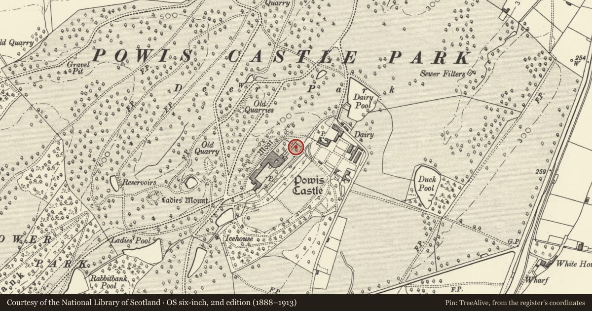 Ordnance Survey six-inch map, 2nd edition (1888–1913) covering the location of Statue of Hercules at E of Top Terrace in Powis Castle Gardens, Welshpool, Powys, with a pin at the register's coordinates