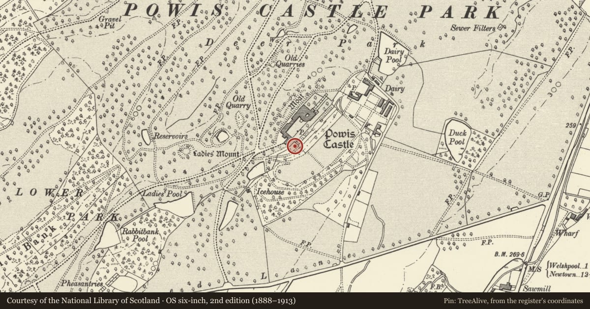 Ordnance Survey six-inch map, 2nd edition (1888–1913) covering the location of Peacock Statue to SW of Orangery Terrace in Powis Castle Gardens, Welshpool, Powys, with a pin at the register's coordinates