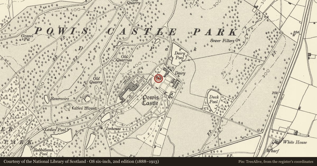 Ordnance Survey six-inch map, 2nd edition (1888–1913) covering the location of Wall to garden and outbuildings at the Bothy, Welshpool, Powys, with a pin at the register's coordinates