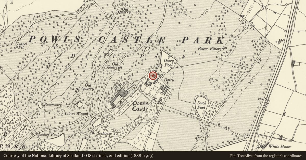 Ordnance Survey six-inch map, 2nd edition (1888–1913) covering the location of No 1 Dairy Square, Welshpool, Powys, with a pin at the register's coordinates