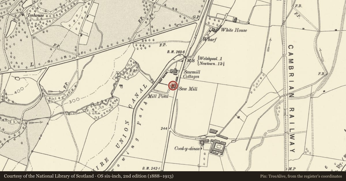 Ordnance Survey six-inch map, 2nd edition (1888–1913) covering the location of Powis Estate Sawmill with cast-iron launder, Welshpool, Powys, with a pin at the register's coordinates