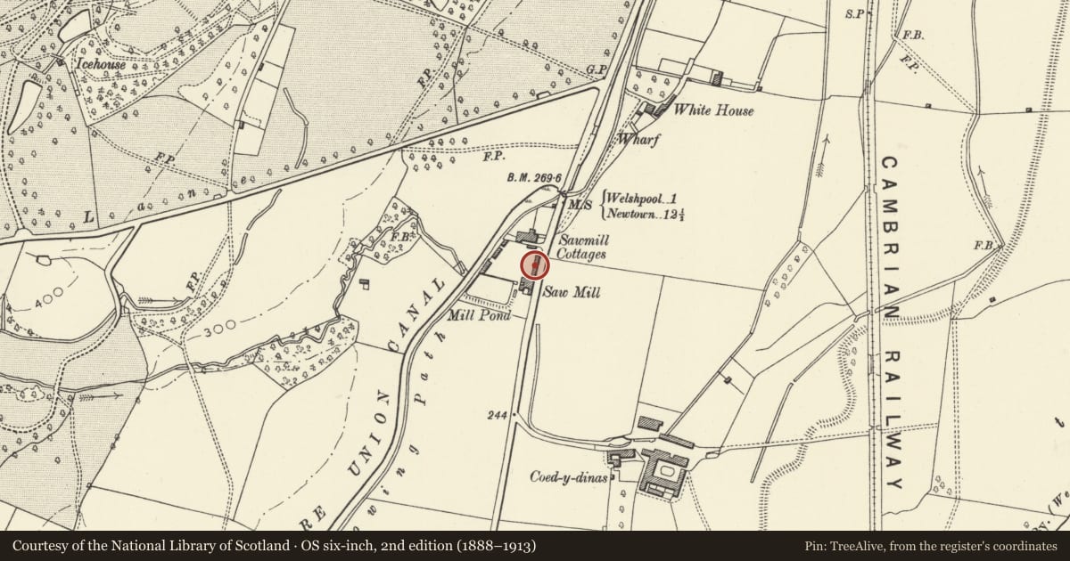 Ordnance Survey six-inch map, 2nd edition (1888–1913) covering the location of Wagon shed, cement store and boundary wall to timber yard, Welshpool, Powys, with a pin at the register's coordinates