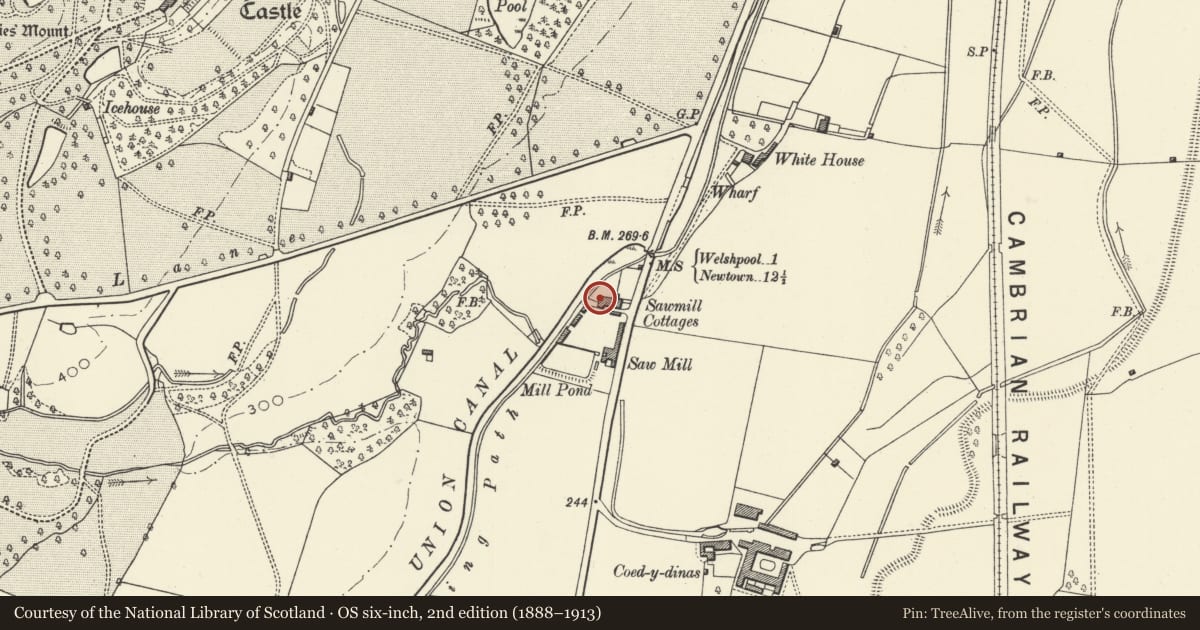 Ordnance Survey six-inch map, 2nd edition (1888–1913) covering the location of Blacksmith's shop, office and stores at Powis Estate Timber Yard, with boundary wall to yard, Welshpool, Powys, with a pin at the register's coordinates