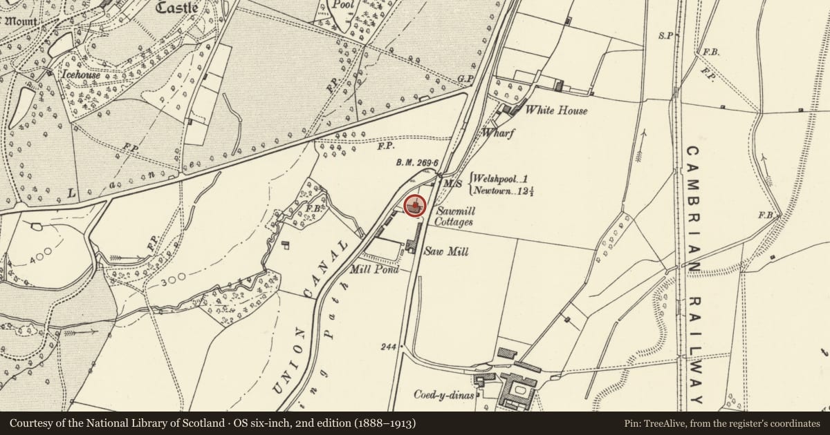 Ordnance Survey six-inch map, 2nd edition (1888–1913) covering the location of No 1 Timber-yard Cottages, Welshpool, Powys, with a pin at the register's coordinates