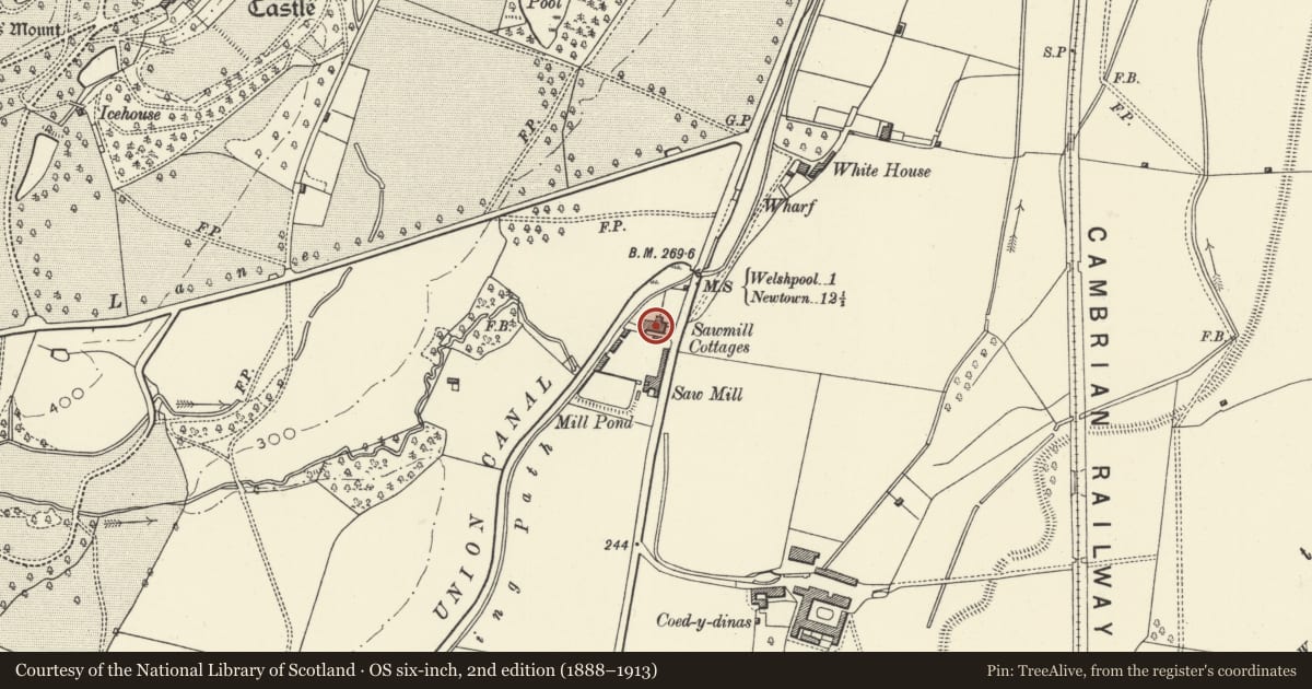 Ordnance Survey six-inch map, 2nd edition (1888–1913) covering the location of No 2 Timber-yard Cottages, Welshpool, Powys, with a pin at the register's coordinates