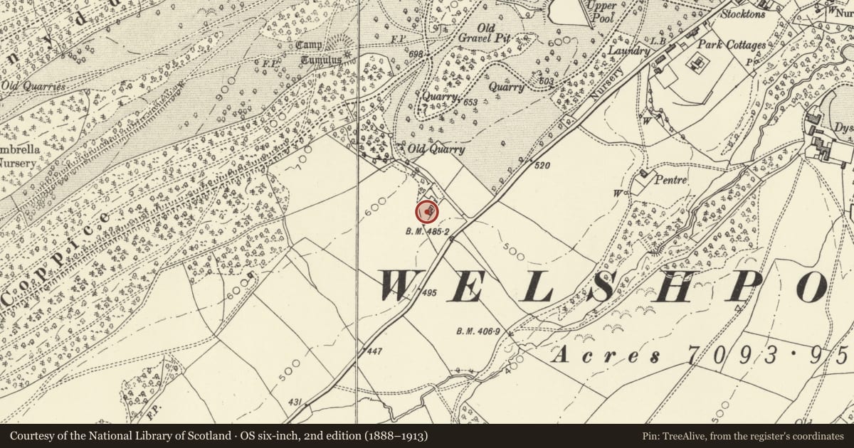 Ordnance Survey six-inch map, 2nd edition (1888–1913) covering the location of Yewtree Cottage, Welshpool, Powys, with a pin at the register's coordinates