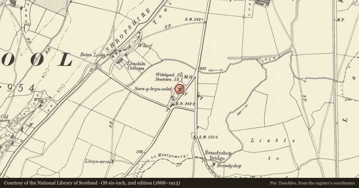Ordnance Survey six-inch map, 2nd edition (1888–1913) covering the location of No 4 Sarn-y-bryn-caled Cottages, Welshpool, Powys, with a pin at the register's coordinates
