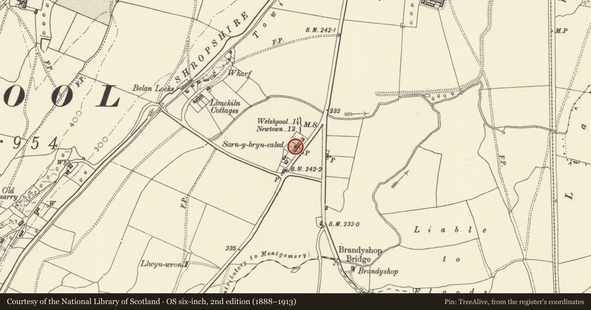 Ordnance Survey six-inch map, 2nd edition (1888–1913) covering the location of No 5 Sarn-y-bryn-caled Cottages, Welshpool, Powys, with a pin at the register's coordinates