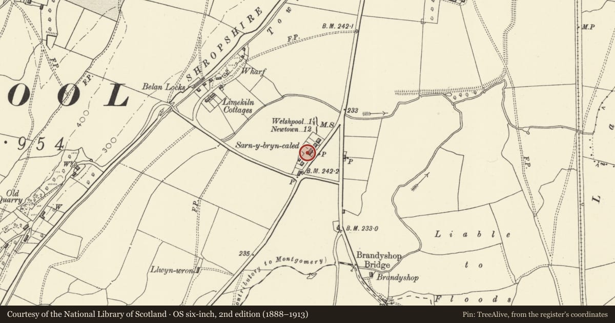 Ordnance Survey six-inch map, 2nd edition (1888–1913) covering the location of No 8 Sarn-y-bryn-caled Cottages, Welshpool, Powys, with a pin at the register's coordinates