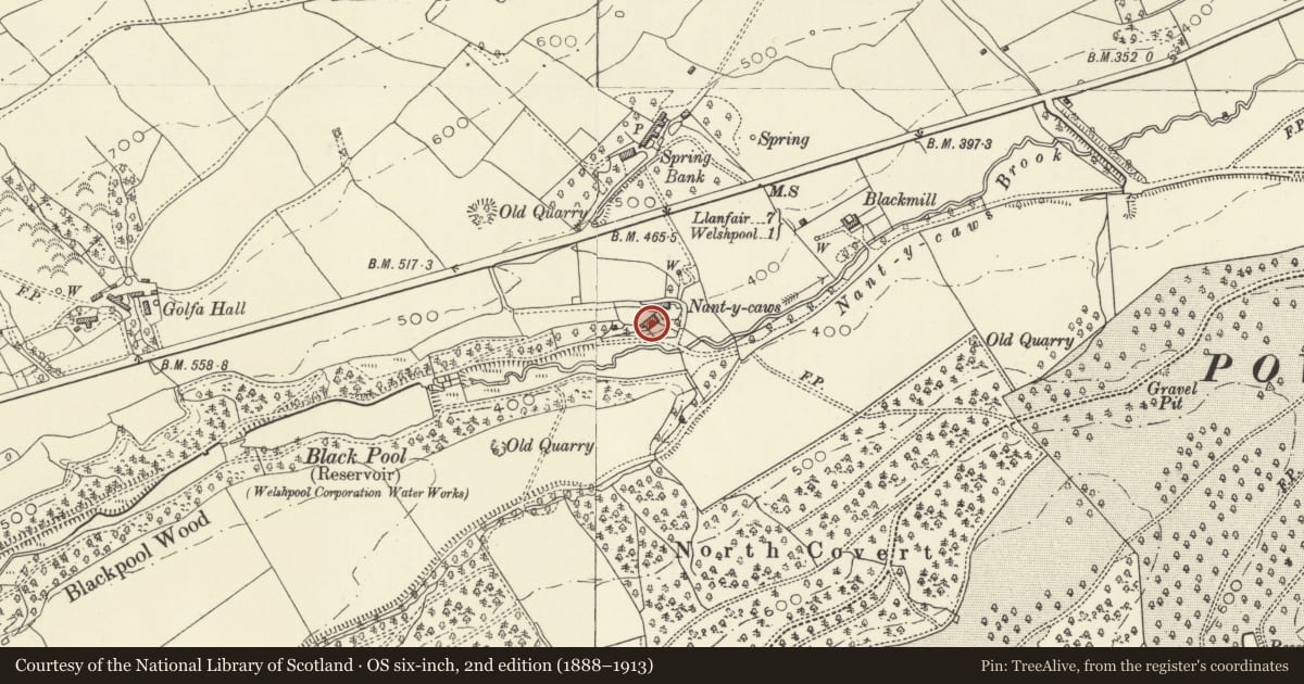 Ordnance Survey six-inch map, 2nd edition (1888–1913) covering the location of Nant-y-caws, Welshpool, Powys, with a pin at the register's coordinates
