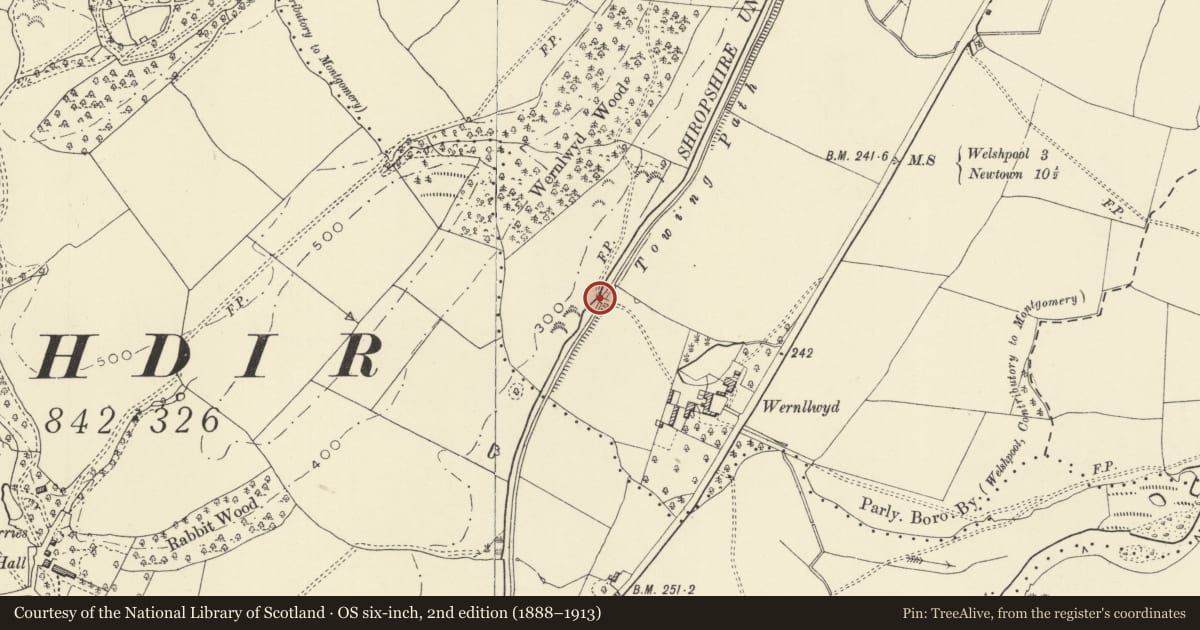 Ordnance Survey six-inch map, 2nd edition (1888–1913) covering the location of Bridge 124 over the Montgomeryshire Canal, Welshpool, Powys, with a pin at the register's coordinates