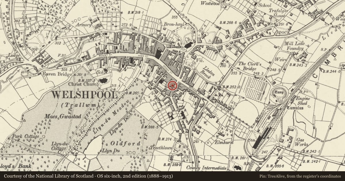 Ordnance Survey six-inch map, 2nd edition (1888–1913) covering the location of 19 Berriew Street, Welshpool, Powys, with a pin at the register's coordinates