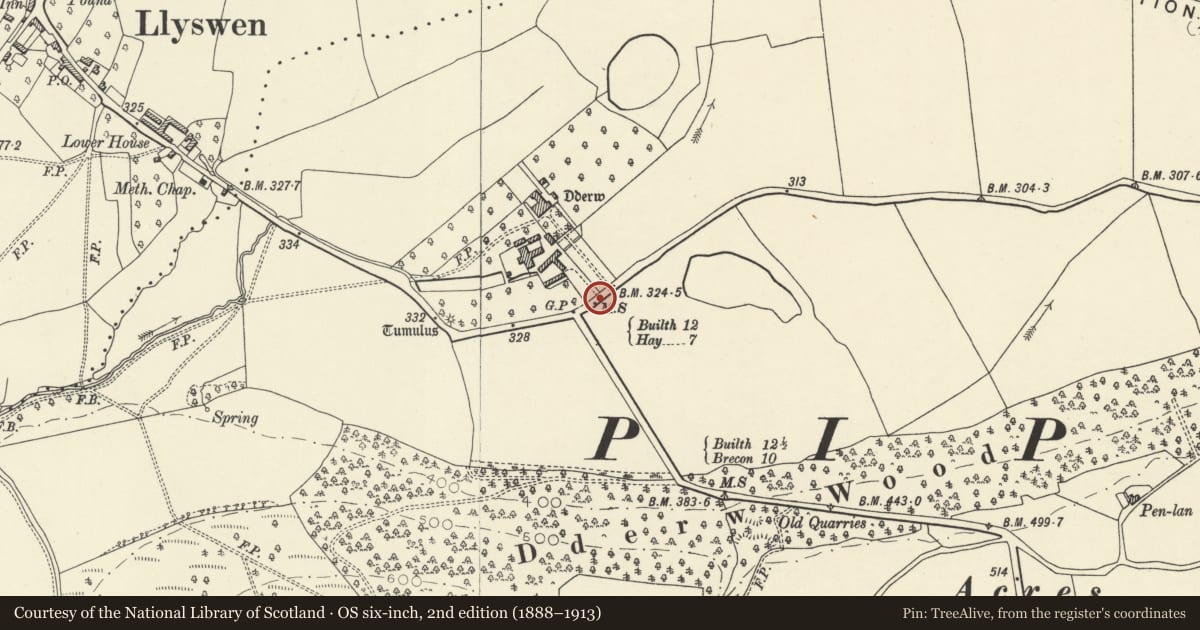 Ordnance Survey six-inch map, 2nd edition (1888–1913) covering the location of Milestone opposite Y Dderw, Bronllys, Powys, with a pin at the register's coordinates
