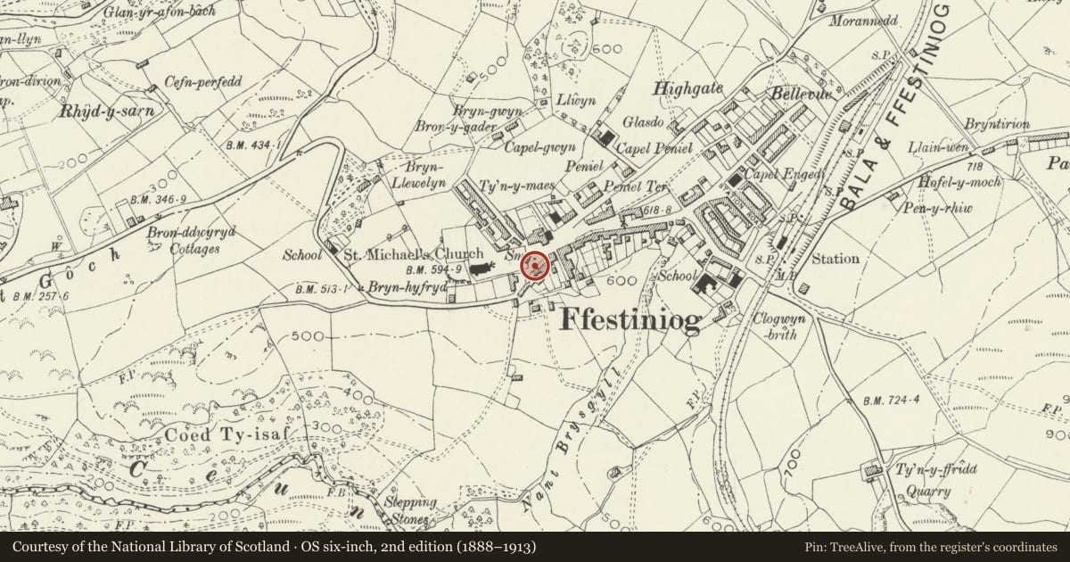Ordnance Survey six-inch map, 2nd edition (1888–1913) covering the location of Tegannedd, Ffestiniog, Gwynedd, with a pin at the register's coordinates
