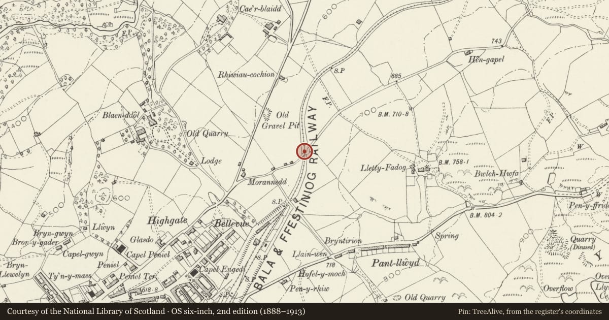 Ordnance Survey six-inch map, 2nd edition (1888–1913) covering the location of Railway Bridge East of A 470, Ffestiniog, Gwynedd, with a pin at the register's coordinates