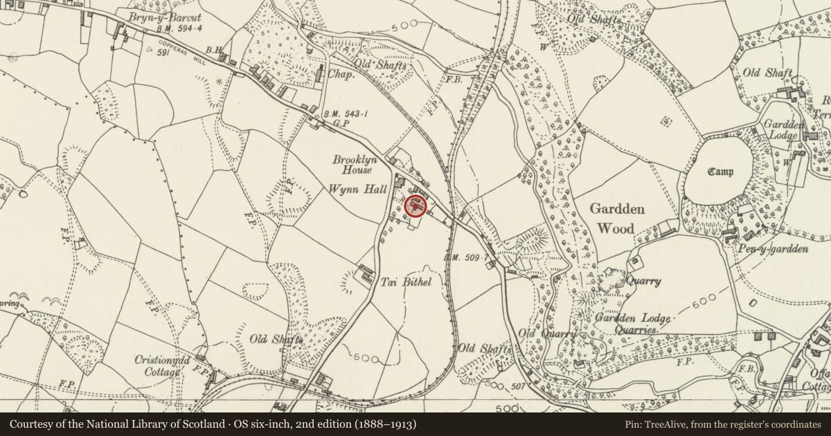 Ordnance Survey six-inch map, 2nd edition (1888–1913) covering the location of Former Apple Store at Wynn Hall, Penycae, Wrexham, with a pin at the register's coordinates