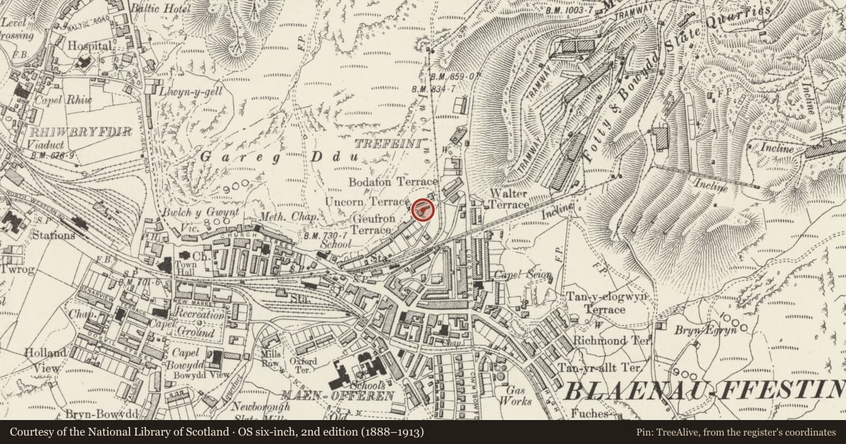 Ordnance Survey six-inch map, 2nd edition (1888–1913) covering the location of Tai Uncorn, Ffestiniog, Gwynedd, with a pin at the register's coordinates
