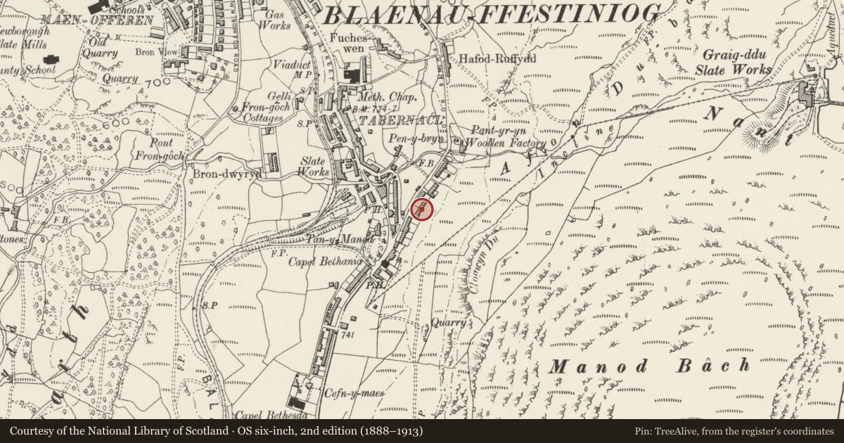 Ordnance Survey six-inch map, 2nd edition (1888–1913) covering the location of 2 Uwchllaw'rffynnon Terrace, Ffestiniog, Gwynedd, with a pin at the register's coordinates