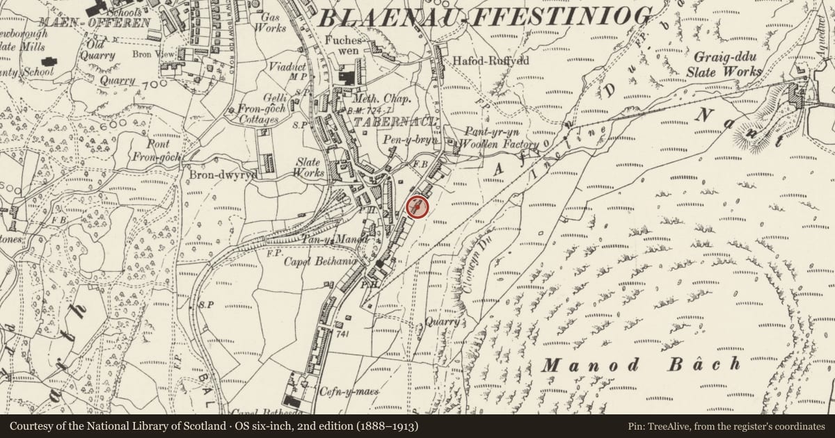 Ordnance Survey six-inch map, 2nd edition (1888–1913) covering the location of 3 Uwchllaw'rffynnon Terrace, Ffestiniog, Gwynedd, with a pin at the register's coordinates