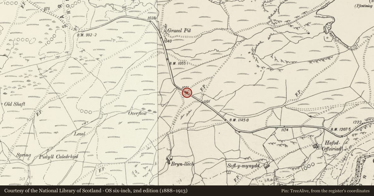 Ordnance Survey six-inch map, 2nd edition (1888–1913) covering the location of Mile Post, Ffestiniog, Gwynedd, with a pin at the register's coordinates