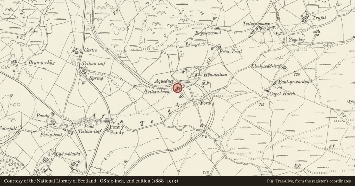 Ordnance Survey six-inch map, 2nd edition (1888–1913) covering the location of Hen - Deiliau, Ffestiniog, Gwynedd, with a pin at the register's coordinates