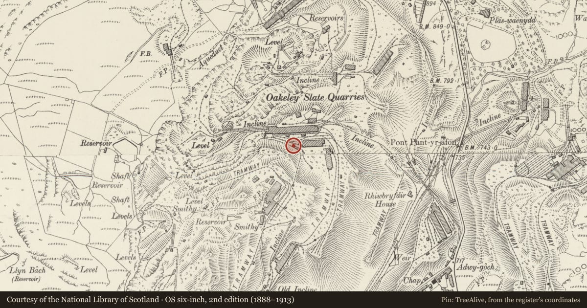 Ordnance Survey six-inch map, 2nd edition (1888–1913) covering the location of Quarryman's Cottages, Ffestiniog, Gwynedd, with a pin at the register's coordinates