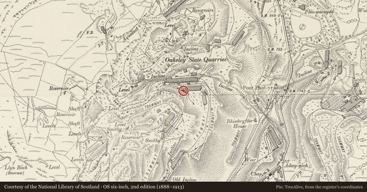 Ordnance Survey six-inch map, 2nd edition (1888–1913) covering the location of Quarryman's Cottages, Ffestiniog, Gwynedd, with a pin at the register's coordinates