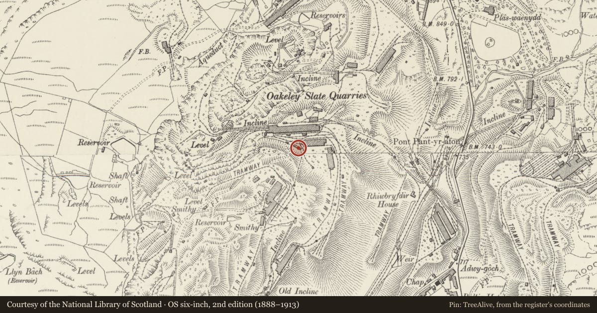 Ordnance Survey six-inch map, 2nd edition (1888–1913) covering the location of Quarryman's Cottages, Ffestiniog, Gwynedd, with a pin at the register's coordinates