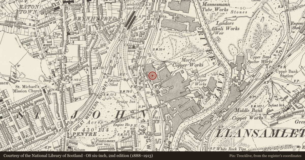 Ordnance Survey six-inch map, 2nd edition (1888–1913) covering the location of Museum Stores, formerly Morfa Copperworks rolling mill, Landore, Swansea, with a pin at the register's coordinates