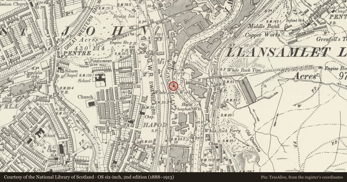 Ordnance Survey six-inch map, 2nd edition (1888–1913) covering the location of Former Vivian locomotive shed, Landore, Swansea, with a pin at the register's coordinates