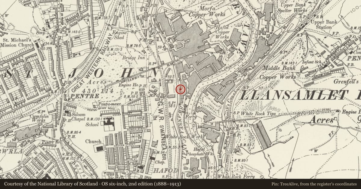 Ordnance Survey six-inch map, 2nd edition (1888–1913) covering the location of Boundary wall of former Hafod Copperworks canal docks, Landore, Swansea, with a pin at the register's coordinates