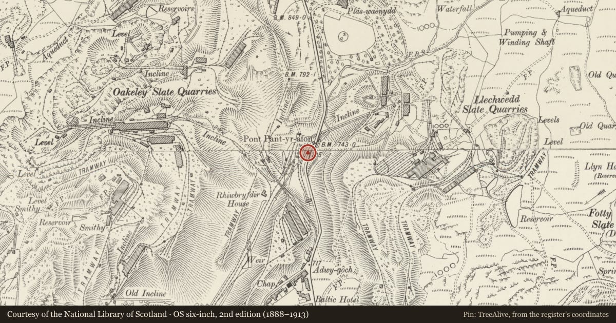 Ordnance Survey six-inch map, 2nd edition (1888–1913) covering the location of Hydro-Electric Powerstation, Ffestiniog, Gwynedd, with a pin at the register's coordinates