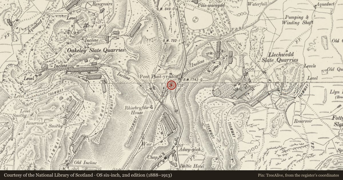 Ordnance Survey six-inch map, 2nd edition (1888–1913) covering the location of Railway Bridge at Former Llechwedd Sidings, Ffestiniog, Gwynedd, with a pin at the register's coordinates