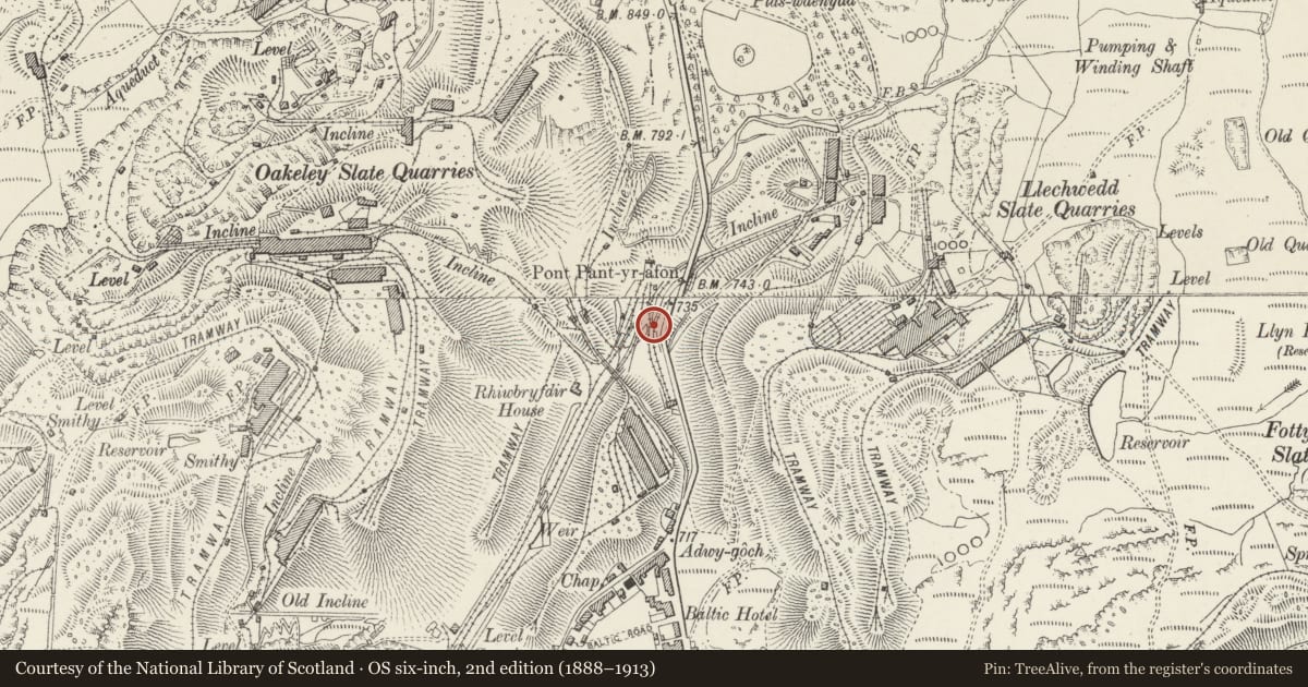Ordnance Survey six-inch map, 2nd edition (1888–1913) covering the location of Railway Bridge at Former Llechwedd Sidings, Ffestiniog, Gwynedd, with a pin at the register's coordinates