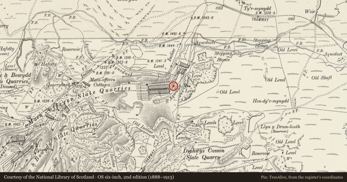 Ordnance Survey six-inch map, 2nd edition (1888–1913) covering the location of Booster Station, Ffestiniog, Gwynedd, with a pin at the register's coordinates