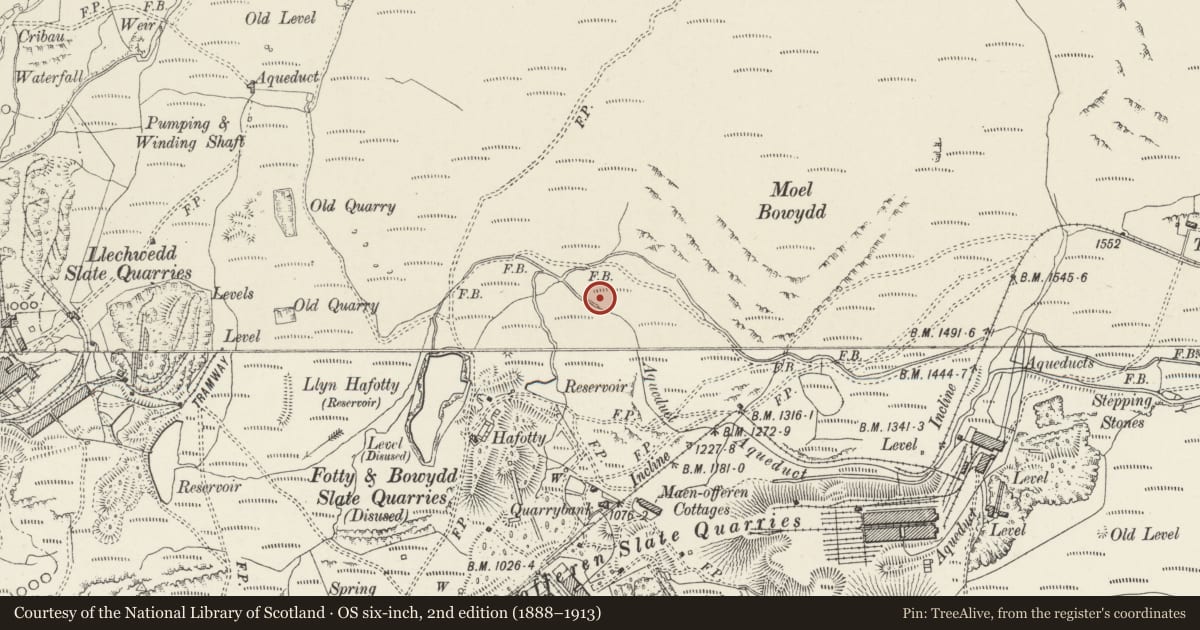 Ordnance Survey six-inch map, 2nd edition (1888–1913) covering the location of Hydro-electric Powerstation, Ffestiniog, Gwynedd, with a pin at the register's coordinates