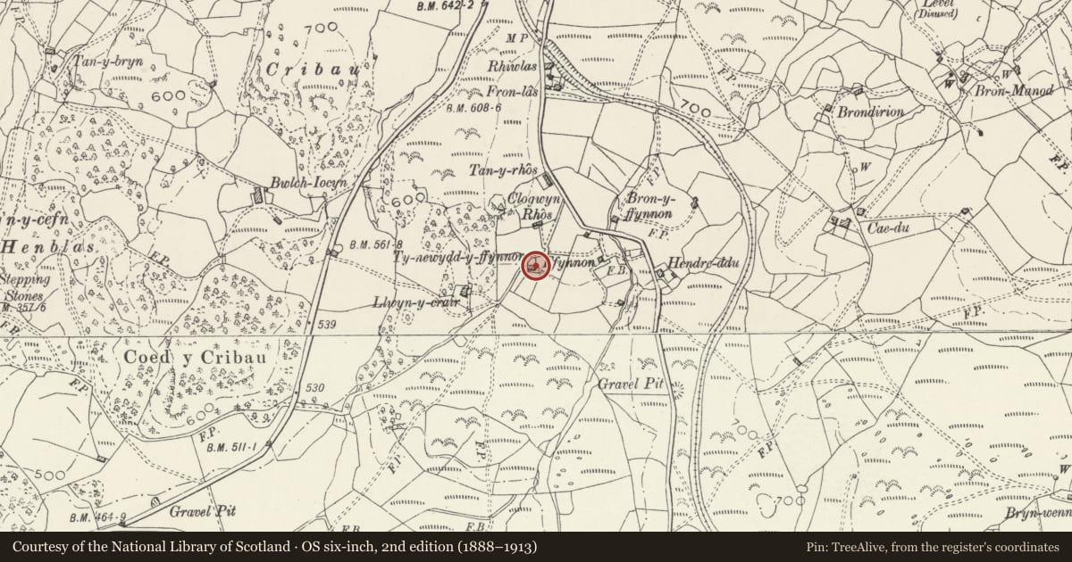 Ordnance Survey six-inch map, 2nd edition (1888–1913) covering the location of Ty-Newydd-y-Fynnon, Ffestiniog, Gwynedd, with a pin at the register's coordinates