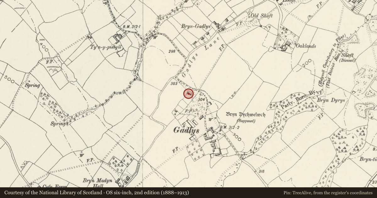 Ordnance Survey six-inch map, 2nd edition (1888–1913) covering the location of Rose Cottage, Bagillt, Flintshire, with a pin at the register's coordinates