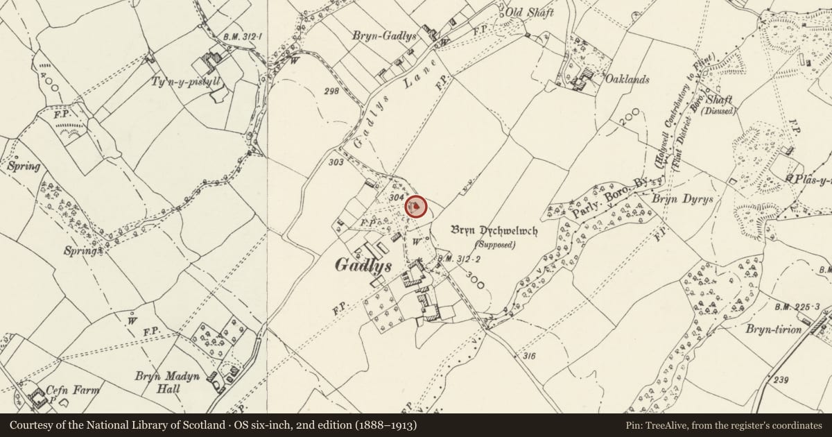 Ordnance Survey six-inch map, 2nd edition (1888–1913) covering the location of Porch Cottage, Bagillt, Flintshire, with a pin at the register's coordinates