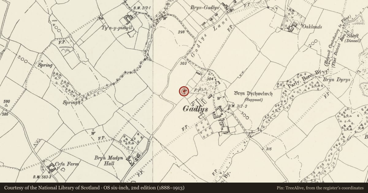 Ordnance Survey six-inch map, 2nd edition (1888–1913) covering the location of Dingle Cottage, Bagillt, Flintshire, with a pin at the register's coordinates