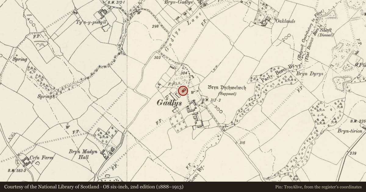 Ordnance Survey six-inch map, 2nd edition (1888–1913) covering the location of Smithy Cottage, Bagillt, Flintshire, with a pin at the register's coordinates