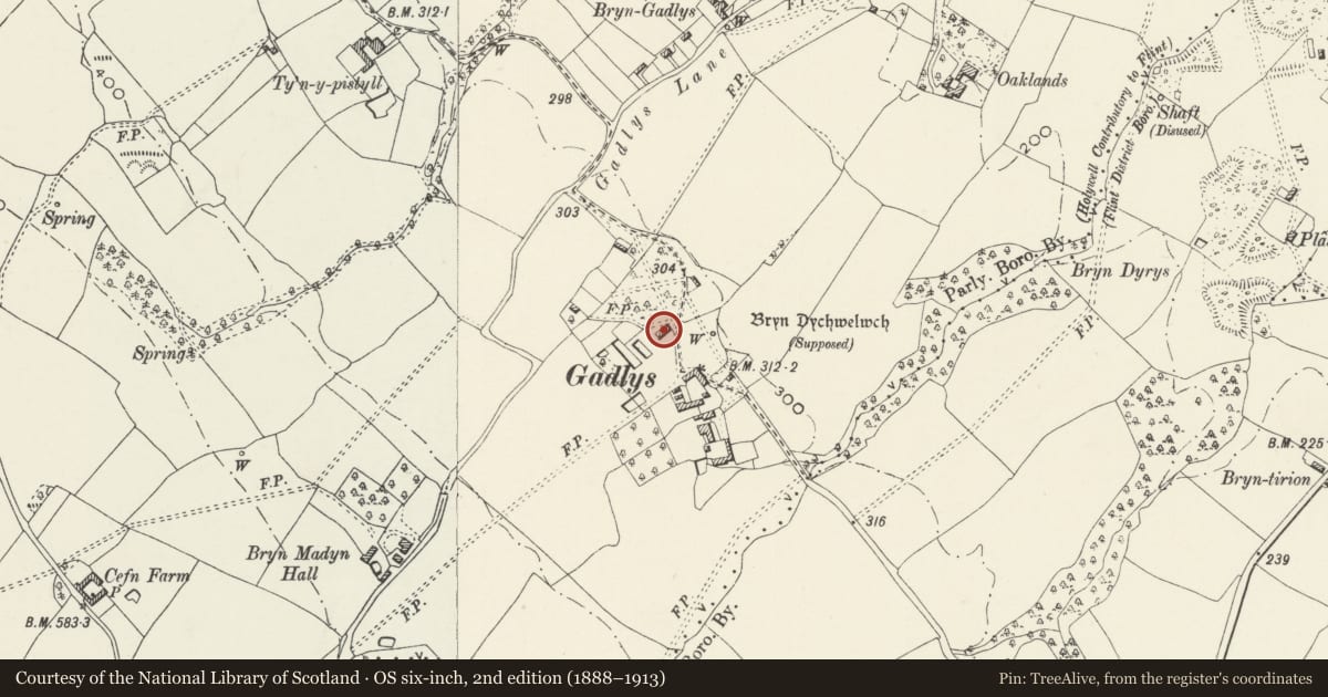 Ordnance Survey six-inch map, 2nd edition (1888–1913) covering the location of Ivy Cottage, Bagillt, Flintshire, with a pin at the register's coordinates